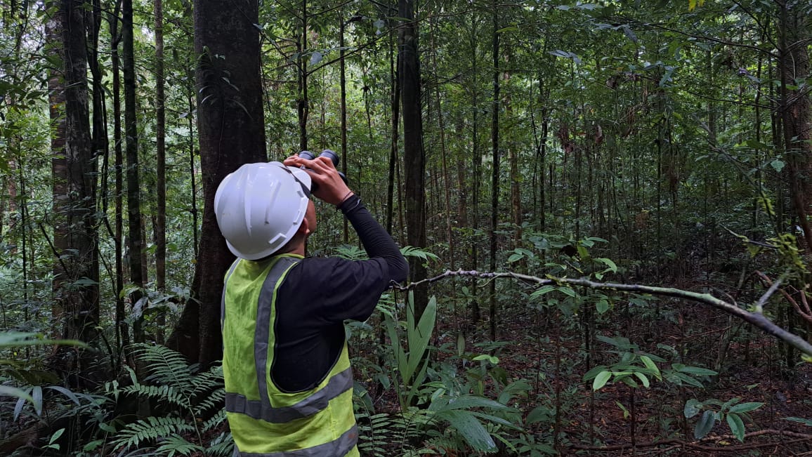 kegiatan pemantauan lingkungan PT GKP