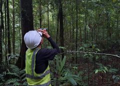 kegiatan pemantauan lingkungan PT GKP